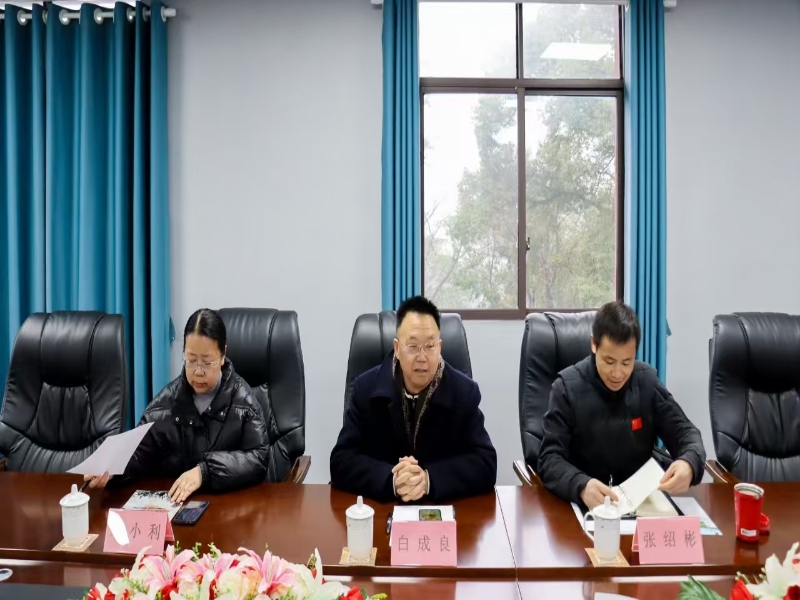 yhEF_1734601258741059255.jpg 03.jpg